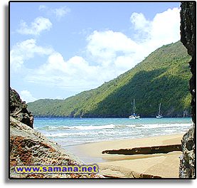 20081023084931-samana.jpg