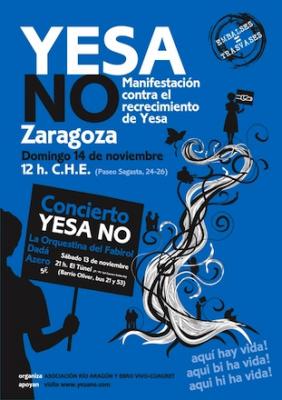 20101113114111-manifestacion-contra-el-recrecimiento-de-yesa.jpg